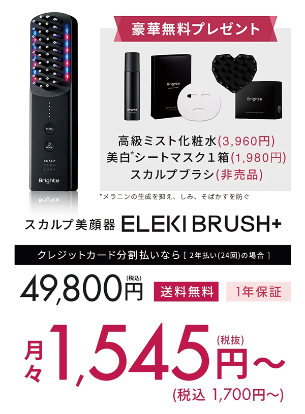 エレキブラシプラスオファー画像